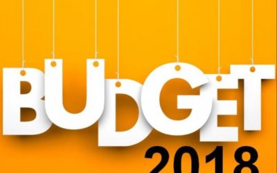 2018 Budget: Delay & Tinkering