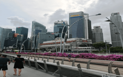 The Singapore Experience