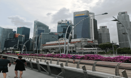 The Singapore Experience