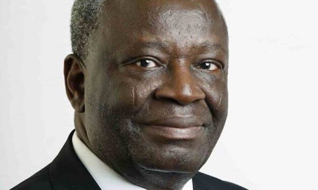 Prof Gambari appointed new CoS