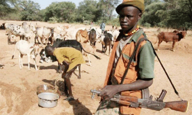 Fulani Herdsmen Palaver