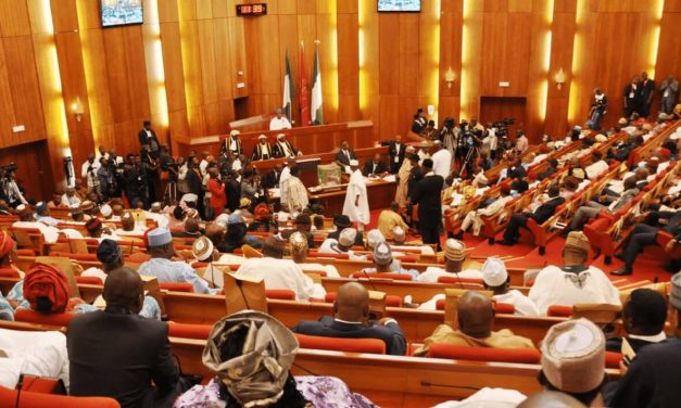 Senate Urges President to declare bandits terrorists