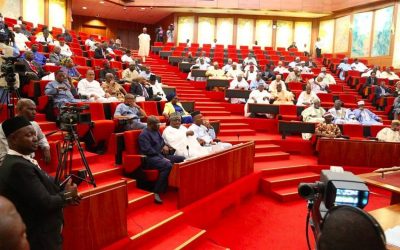 Security: Senators React